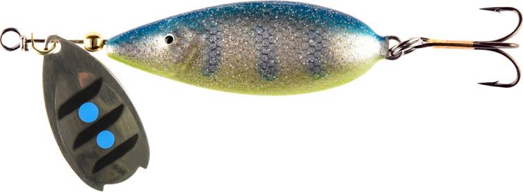 Lotto Pro 3.5cm Blue Roach