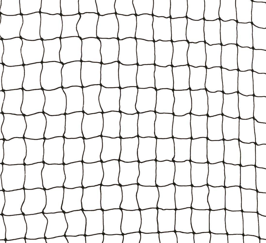 Protective Net