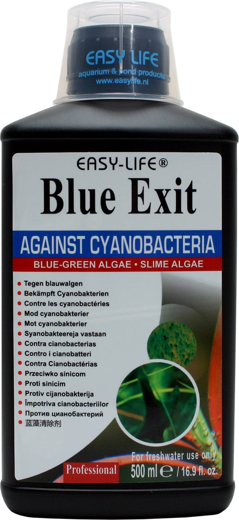 Blue Exit