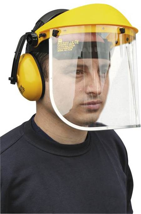 Protective Visor with Hearing Protection