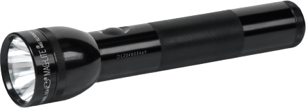 2-Cell D