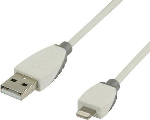 USB A - Lightning
