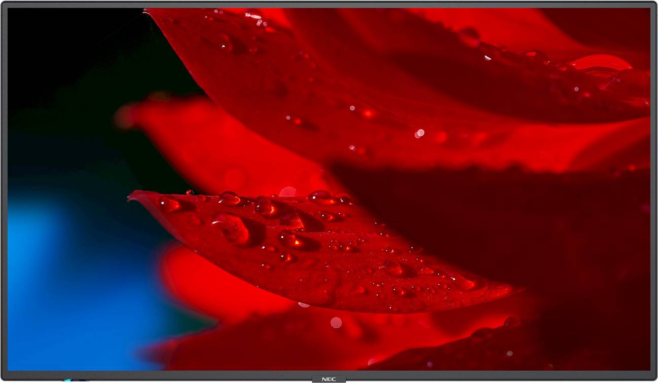 NEC MultiSync MA551