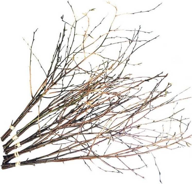 Table Decorations Shrovetide Rice 5-pack
