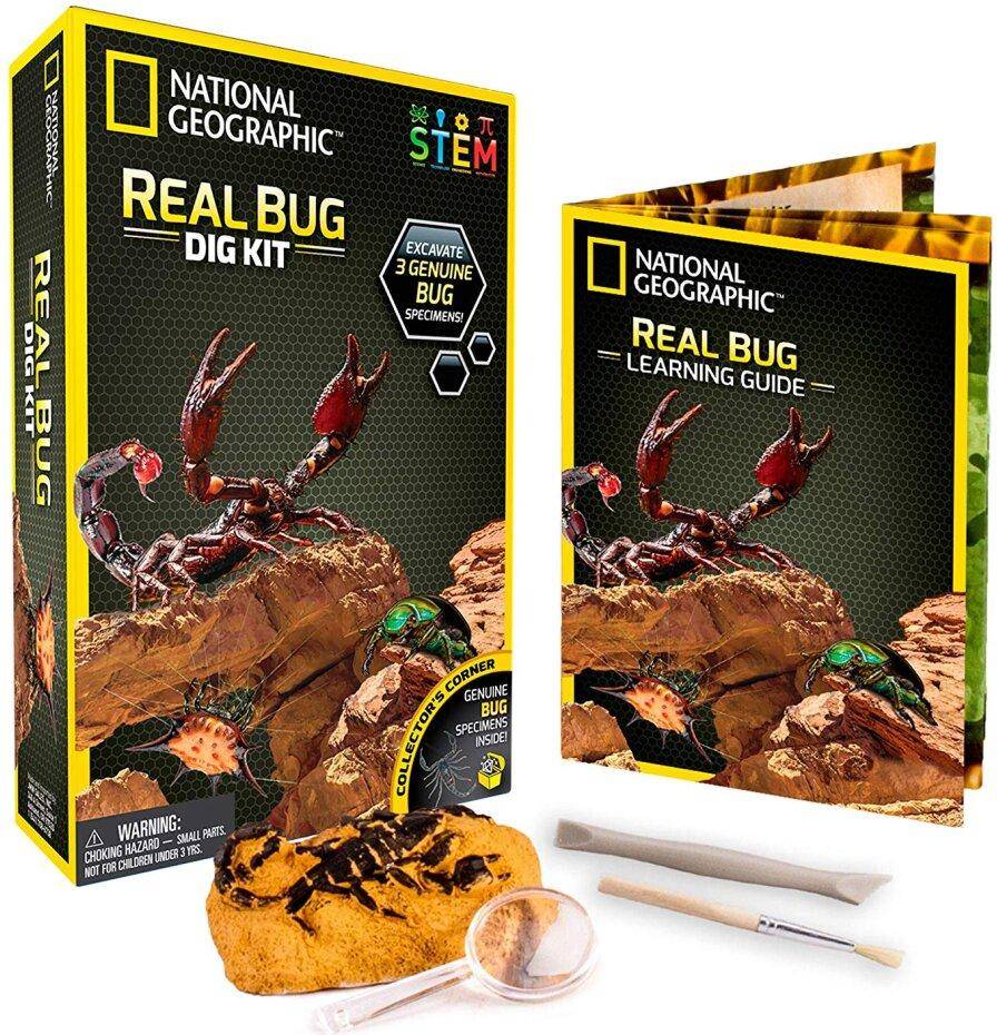 Real Bug Dig Kit