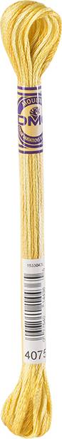 Color Variations Embroidery Thread