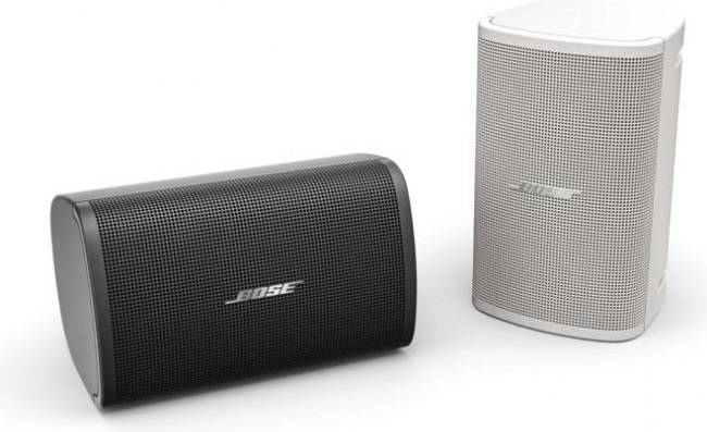 Bose DesignMax DM6SE