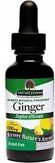 Ginger Root 30ml