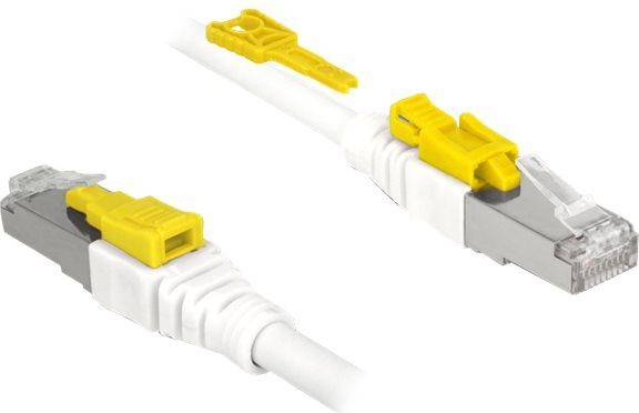 DeLock RJ45-RJ45 STP Cat6a LSZH