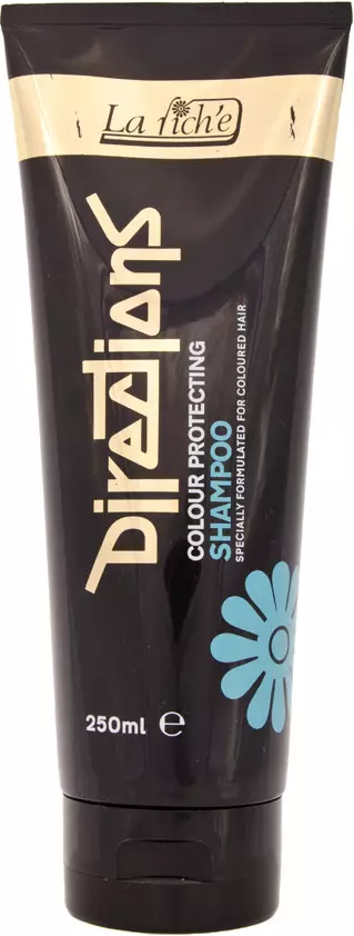 La riche directions La Riche Directions Color Protecting Shampoo 250ml