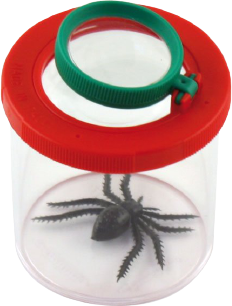 Navir Insect Glass
