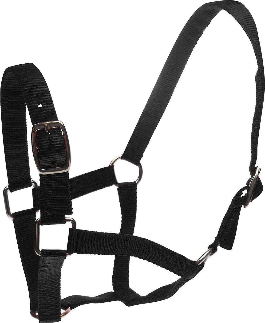 Roma Headcollar & Lead Rope Set