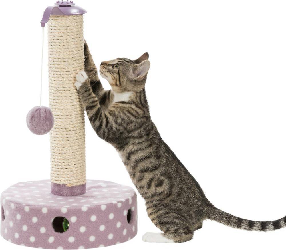 Junior Scratching Post