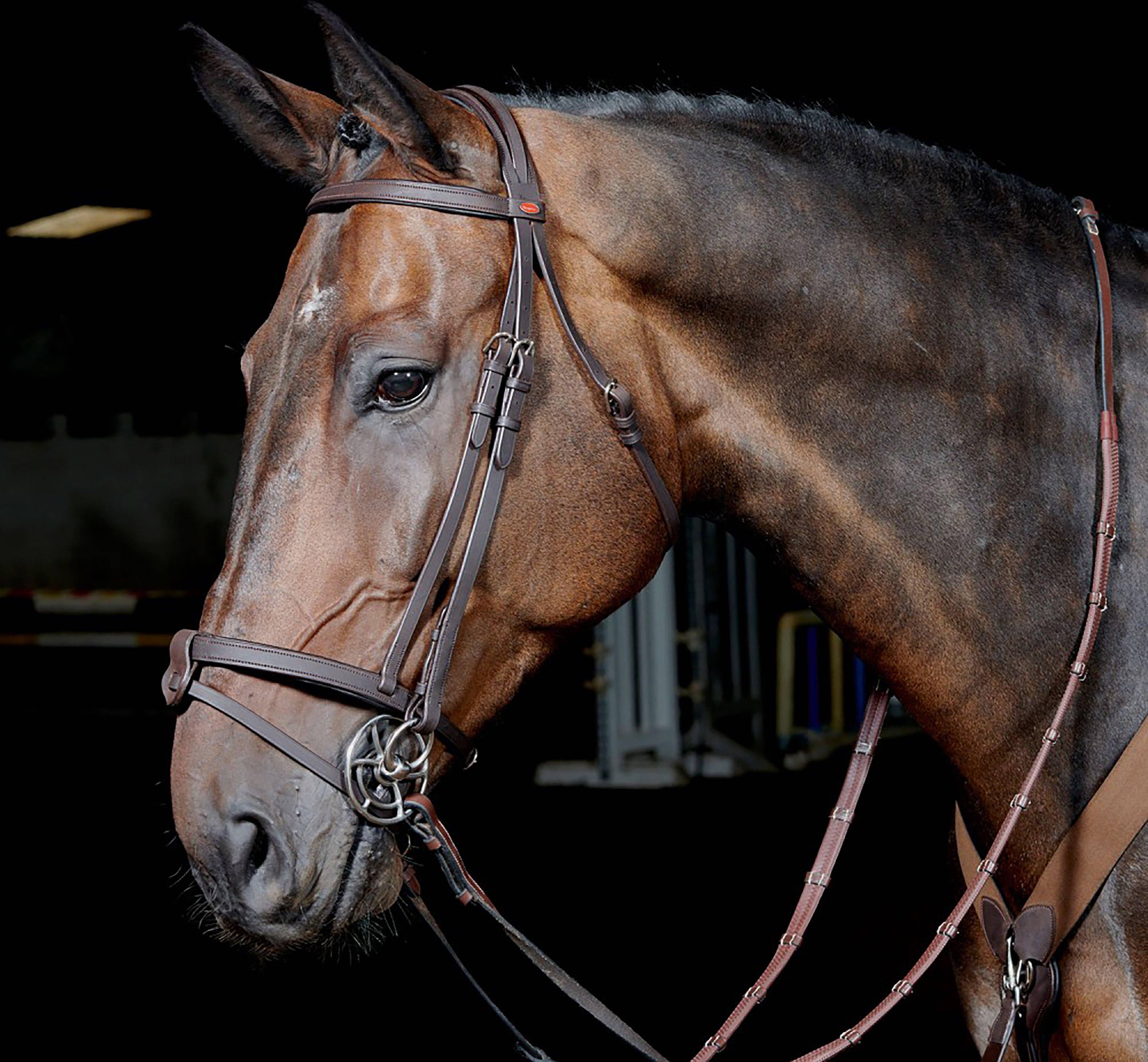 Ready to Ride Snaffle Bridle