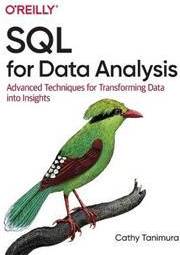 SQL for Data Analysis (Häftad)