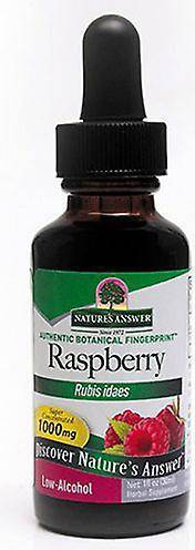 Nature's Answer Raspberry Liquid Extract 1000 mg 30 ml