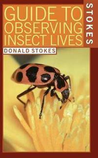 Stokes Guide to Observing Insect Lives (Paperback)