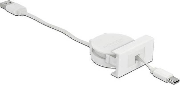 DeLock Retractable USB A-USB C