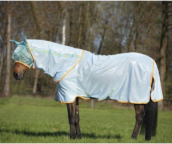 Amigo Bug Fly Rug