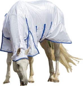 Shires Highlander Plus Fly Sheet Combo Rug