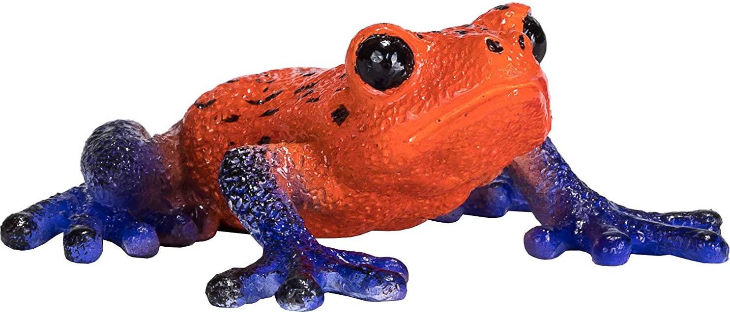 Poison Dart Tree Frog