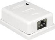 DeLock Ytmonterat uttag RJ-45 vit