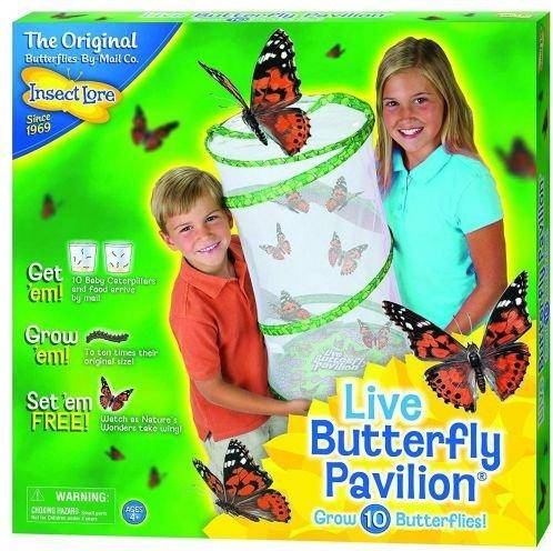 Liniex Insect Lore Butterfly Pavilion