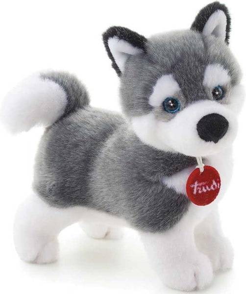 Husky Marcus S