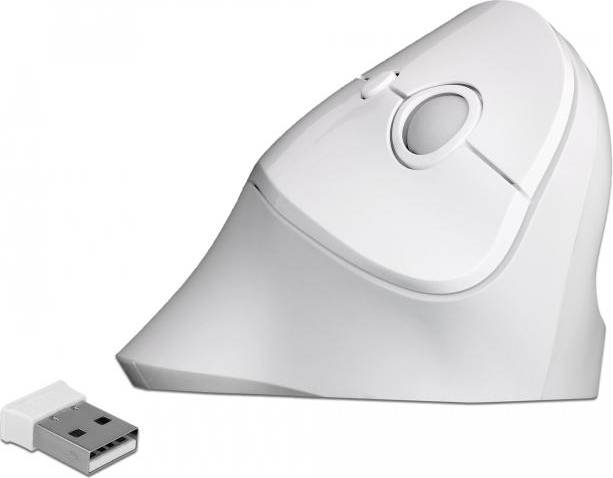 DeLock Ergonomic Vertical USB Wireless Mouse