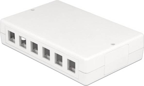 DeLock 12 Port Keystone Box
