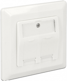 DeLock 2 Port Keystone Vägguttag