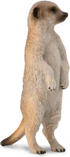 Kat Collecta Meer Kat Standing