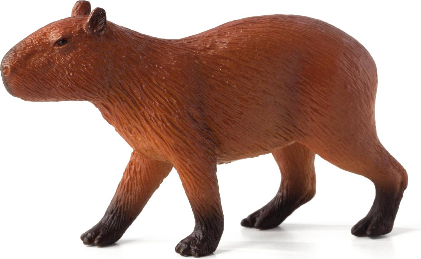 Capybara