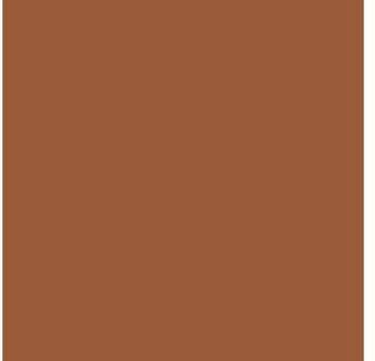 Wittmax Mecha Color- Copper 17 ml