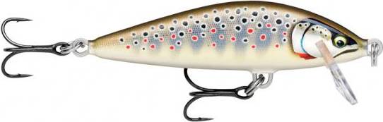 Countdown Elite 5.5cm