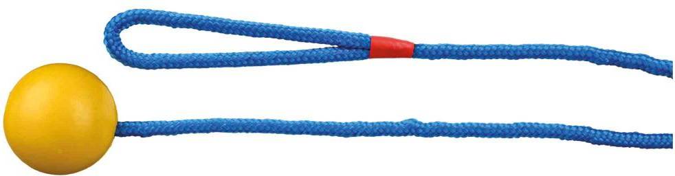 Ball on a Rope