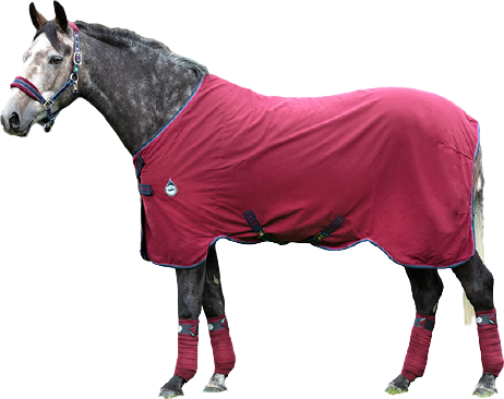 Horseware Rambo Helix Sheet with Disc Front Closure