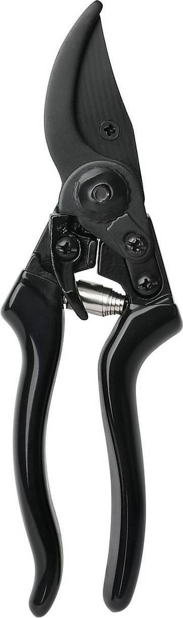 Basic Pruner