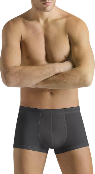 Boxer - Grigio