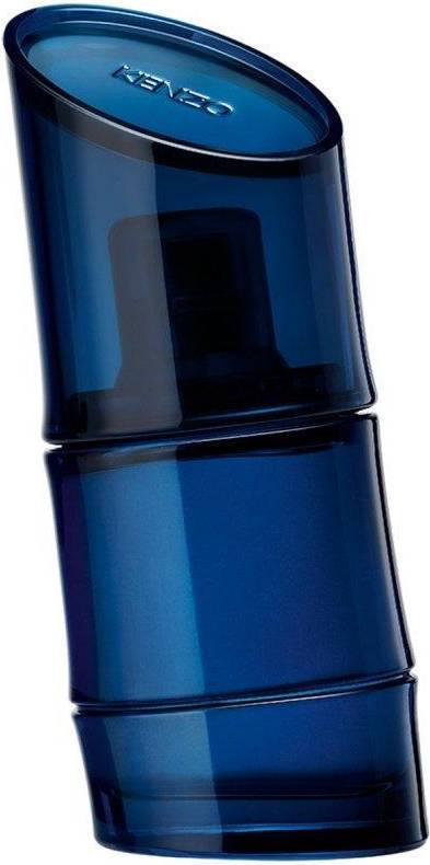 Homme Intense EdT