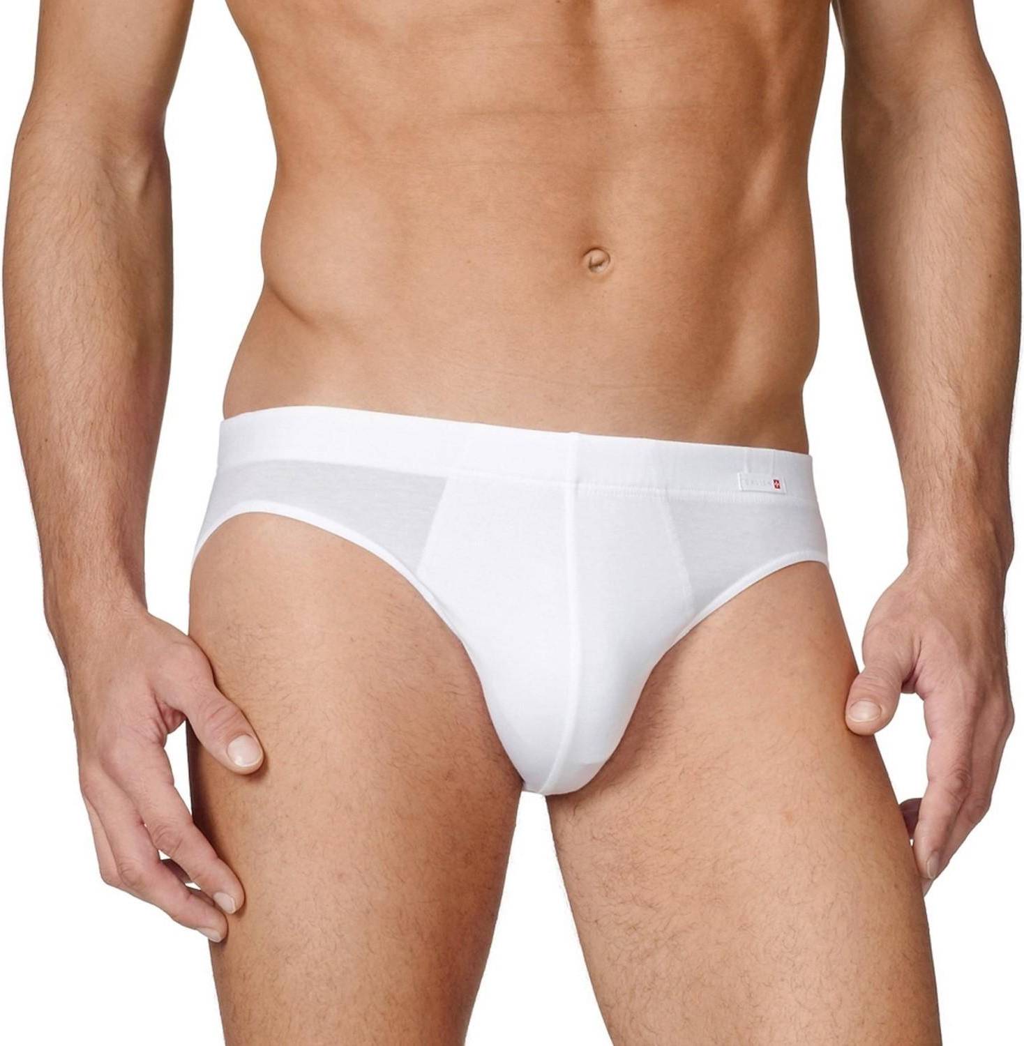 Evolution Mini Brief - White