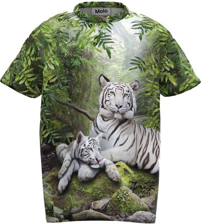 Molo Roxo - Summer Tiger