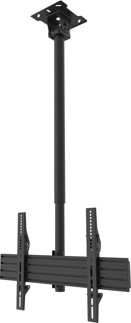 CM600