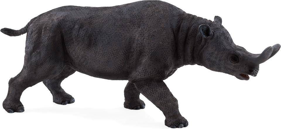 Legler Brontotherium