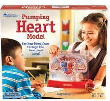 Learning Resources Pumping Heart Model