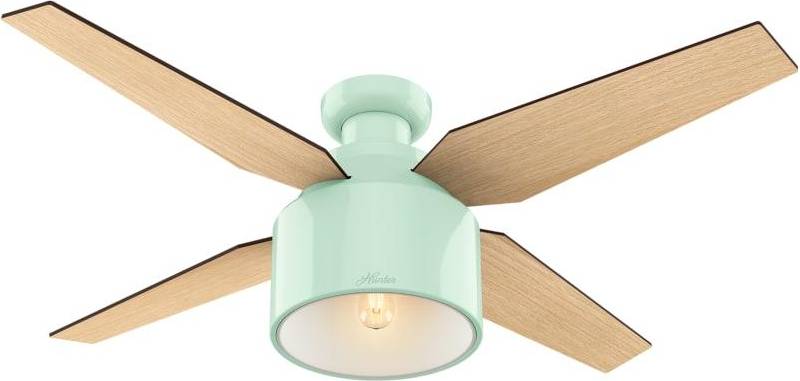 Hunter flush mount ceiling fan with light Hunter 52 Inch Cranbrook Ceiling Fan with LED Light