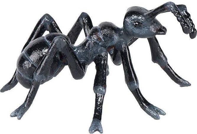 Ant