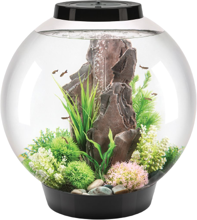 Biorb Classic LED