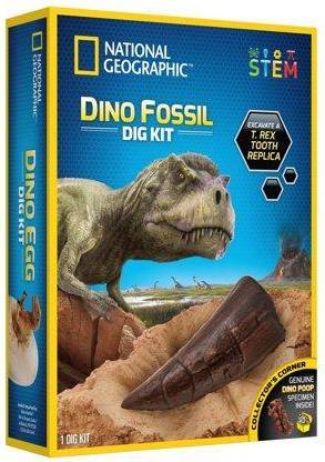 Dino Fossil Dig Kit