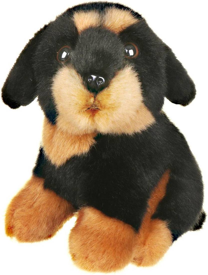 Living Nature Small Rottweiler Dog
